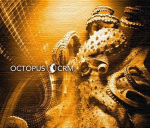 CRM Octopus BetInvest