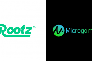 Microgaming y Rootz Limited